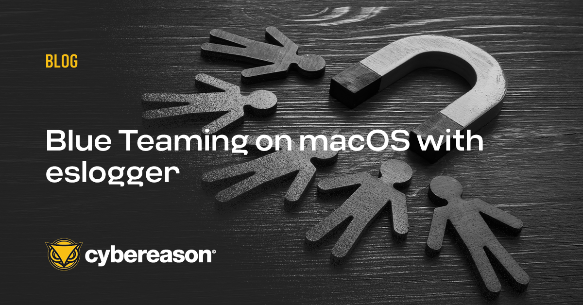 How Can a Beautiful Girl Excel in Soccer and Break Stereotypes?
